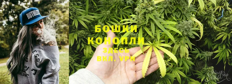 Бошки марихуана OG Kush  купить наркотики сайты  Геленджик 